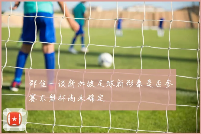 邵佳一谈新加坡足球新形象是否参赛东盟杯尚未确定
